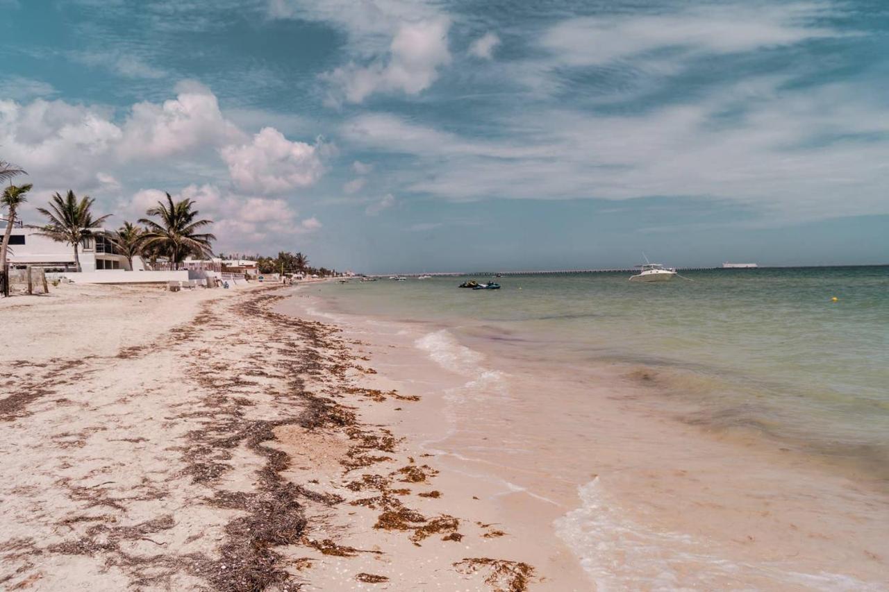 Luxury Condo, the hidden gem Playa Chacá. Live it! Progreso  Esterno foto